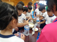 DSC04998