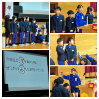 20260303_124132-COLLAGE