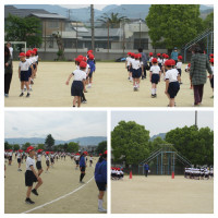IMG_7186-COLLAGE