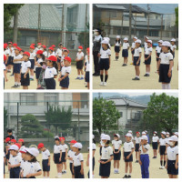 IMG_7202-COLLAGE