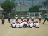 IMGP0052