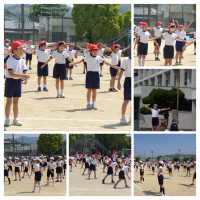 DSC00160-COLLAGE