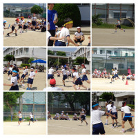 DSC00132-COLLAGE