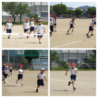 DSC00098-COLLAGE
