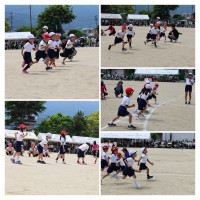 IMG_9946-COLLAGE
