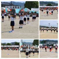 IMG_9564-COLLAGE