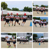 IMG_9906-COLLAGE