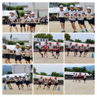 IMG_9916-COLLAGE