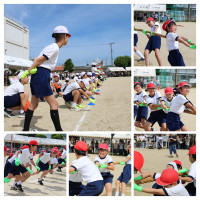 IMG_9586-COLLAGE