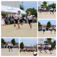 IMG_9831-COLLAGE