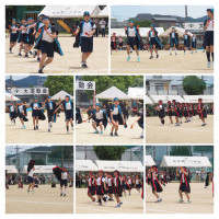 P5183264-COLLAGE