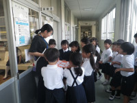 IMGP0012 (1)