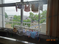 DSC03725