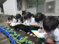 IMGP0005 (1)
