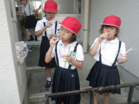 IMGP0046