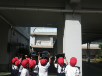 IMGP0020