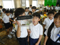 IMGP0085