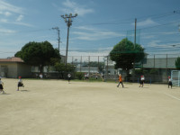 IMGP0017