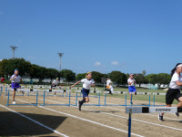 P1000271