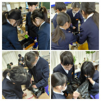 20260304_185637-COLLAGE